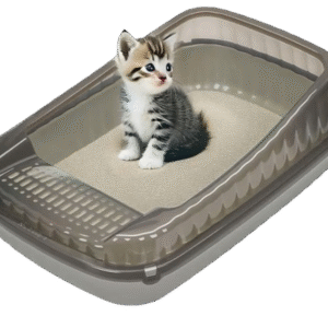 Katzenklo ohne Deckel