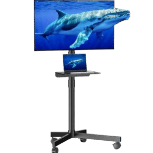Mobile TV Cart