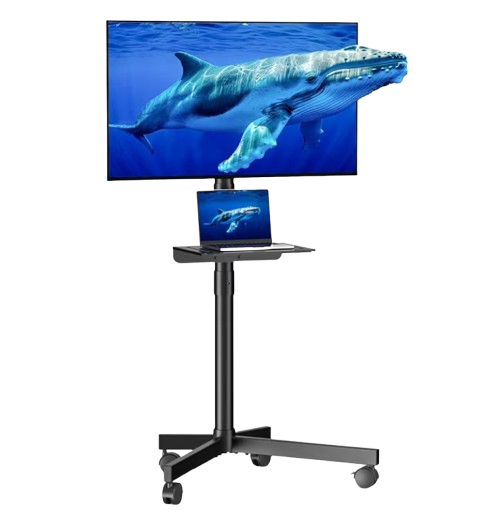 Mobile TV Cart
