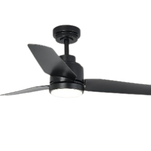 Black Ceiling Fan