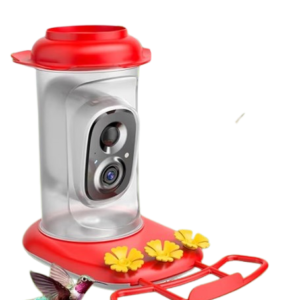 Humming Bird Feeder