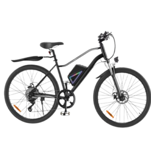 Adults Electric Bike