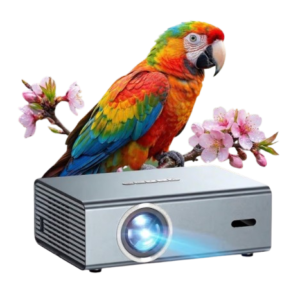 WiFi Projector