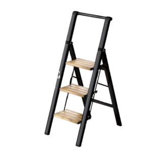 Step 3 Ladder