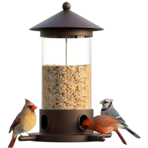 Bird Feeder